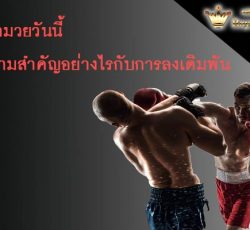 ราคามวยวันนี้ มีความสำคัญอย่างไรกับการลงเดิมพัน GLCUBจีคลับไทย คาสิโนออนไลน์