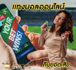 นักพนันบอล ได้เลือกใช้บริการแทงบอลออนไลน์