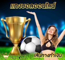 เส้นทาง การรวย ไปกับสูตรบอล